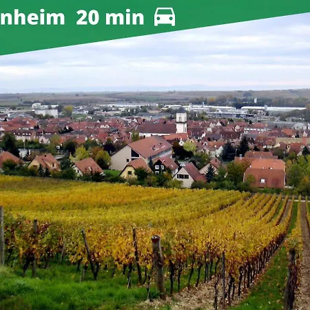 Auguste, La Romaine Et My Cesar - Location *